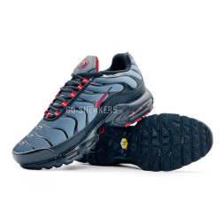 Nike Air Max Plus Grey